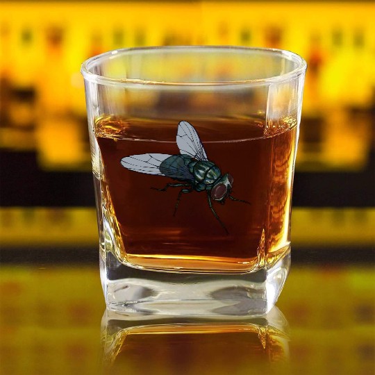 Fly Common House Fly Insect Square Whiskey Glasses