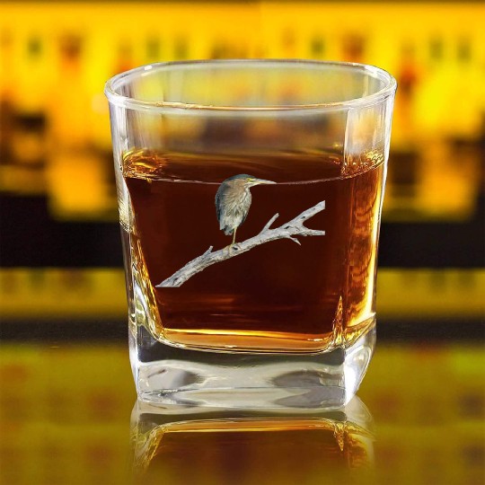Green Heron Square Whiskey Glasses