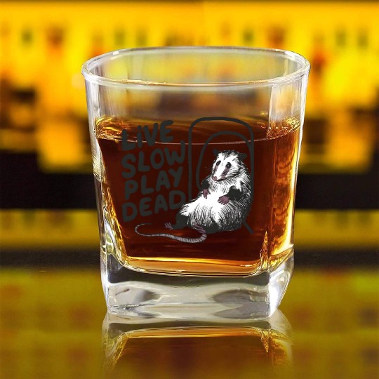 Funny Possum Live slow play dead Street Cat Square Whiskey Glasses