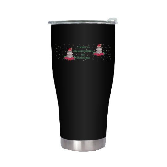 I Want a Hippopotamus for Christmas Stainless Steel Tumblers