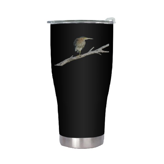 Green Heron Stainless Steel Tumblers