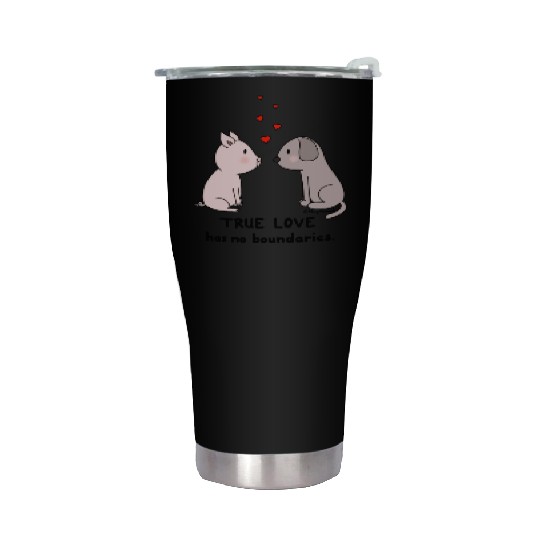 True Love has No Boundaries Stainless Steel Tumblers