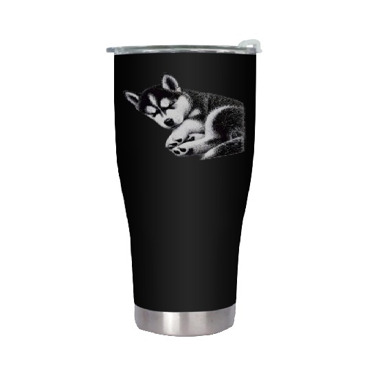 Gentle Snooze Dreaming Husky - TSQ Stainless Steel Tumblers