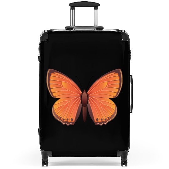 Scarce copper Suitcases