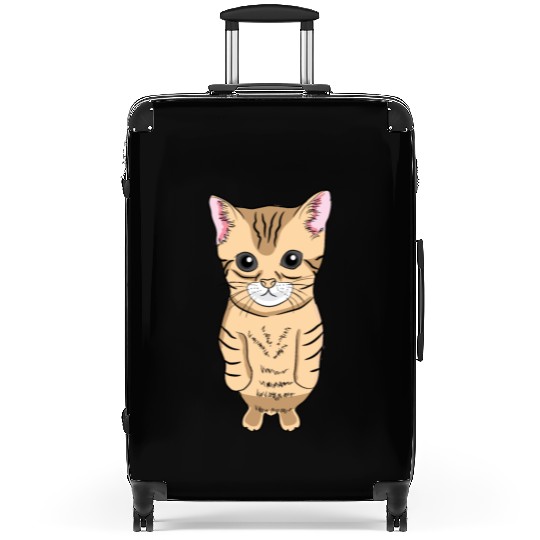 Cute Standing Cat Meme Cute Kitten Standing on Two Suitcases