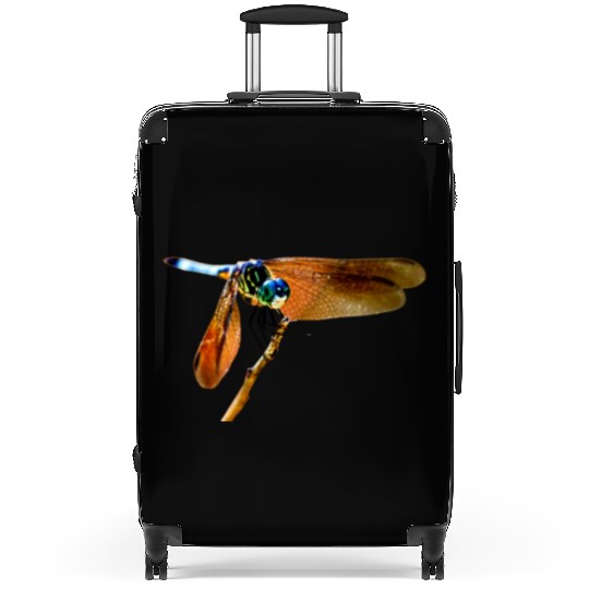 Colorful dragonfly on a branch Suitcases
