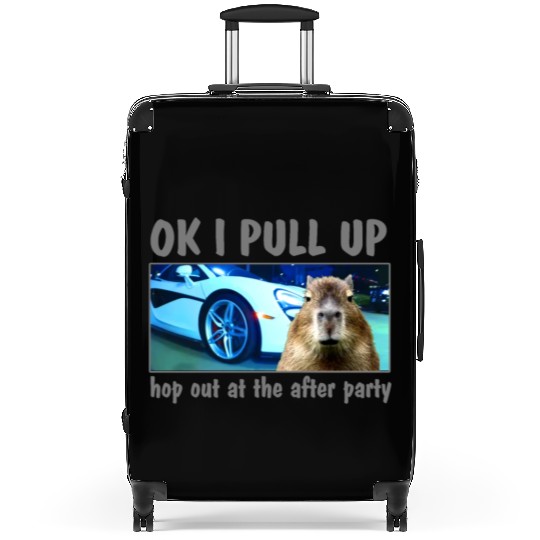 Ok I Pull Up Capybara Meme After Party Rap Song ar Suitcases