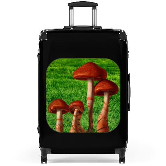 Natural mushroom Suitcases