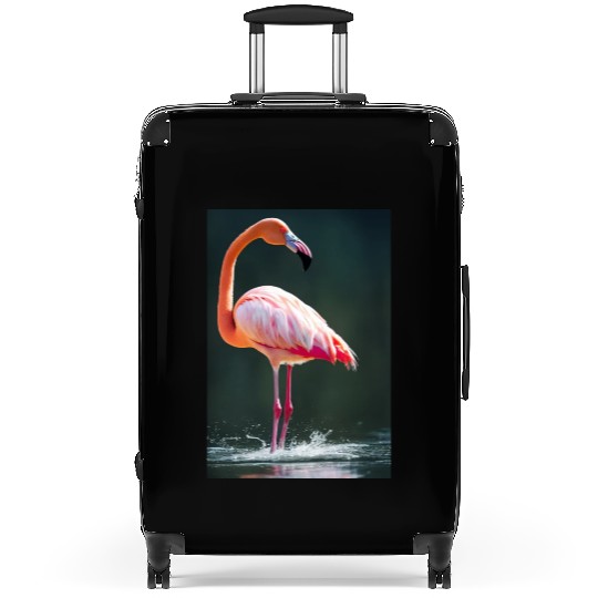 Flamingo in a lake with water splashes Suitcases