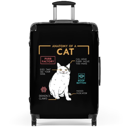 Funny Weird Cat Meme Smiling, Anatomy of A Cat Suitcases