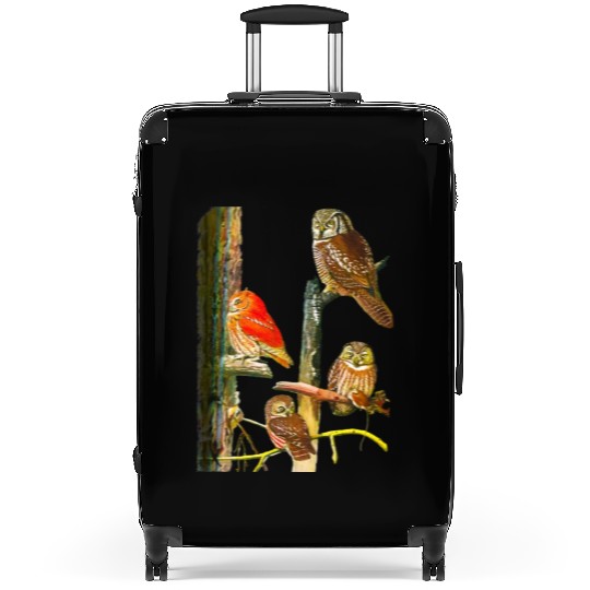 Bird Watchers Four Great Owls In a Tree Owl Lovers Suitcases
