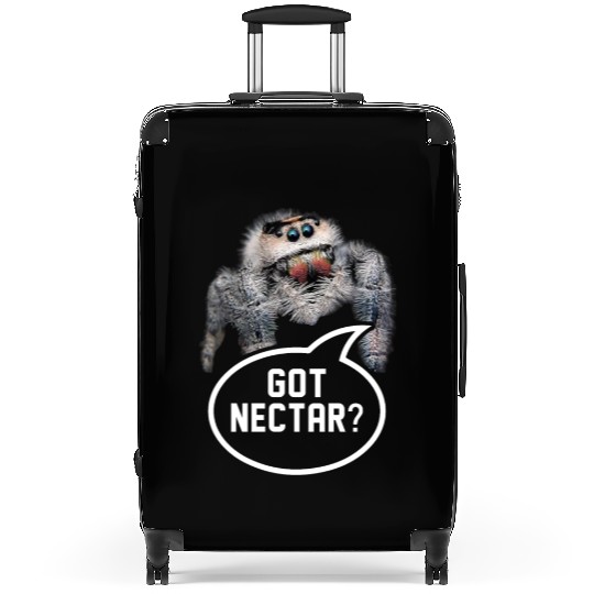 Exotic Pet Collection Lifestyle Jumping Spiders Suitcases