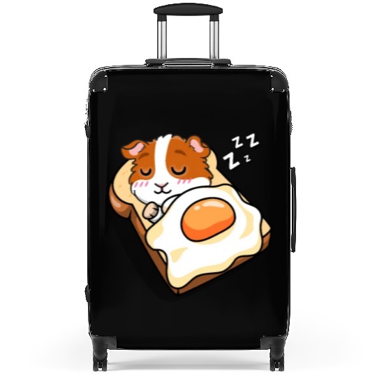 Guinea Pig Suitcases