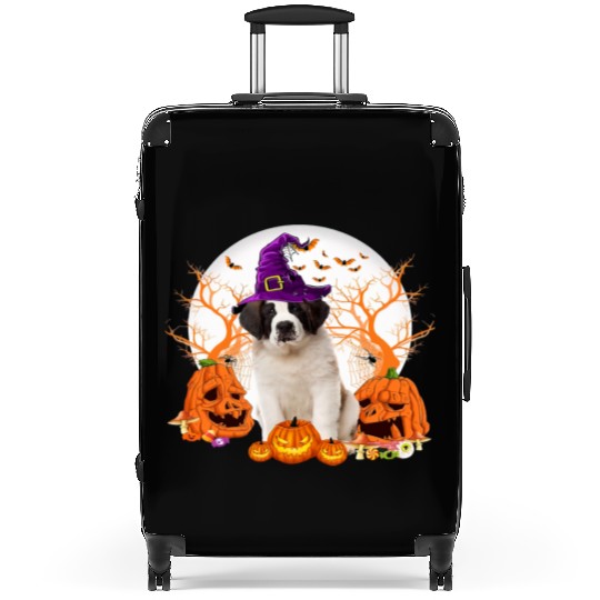 Dog Halloween Saint Bernard Dog Jack O Lantern Suitcases
