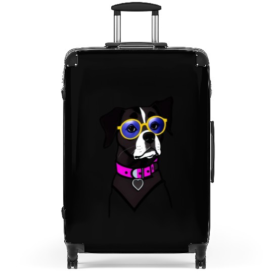 Cool dog with glasses Suitcases