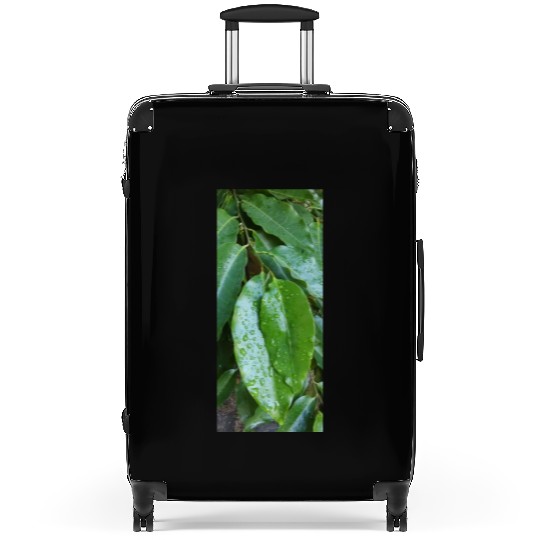 beautiful green plant in the garden Suitcases