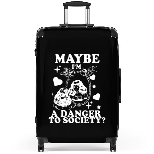 Maybe I'm A Danger To Society? Suitcases