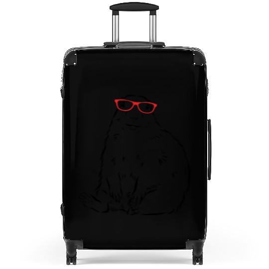 Groundhog Suitcases