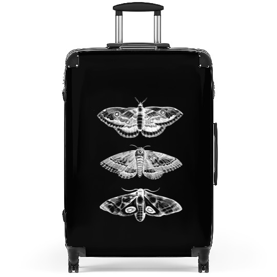 Moth Animal Insect Bug Scientific Illustration Suitcases