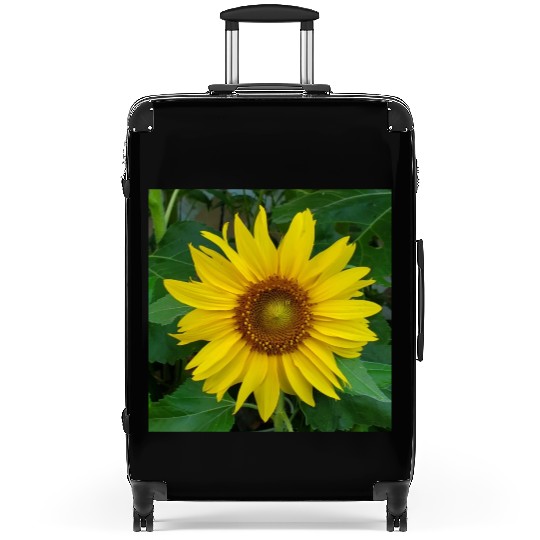 My sunflower Suitcases