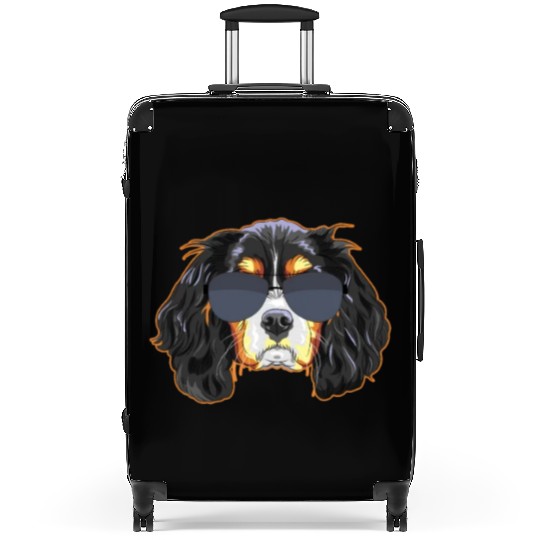 Cavalier King Charles Spaniel Wearing Sunglasses Suitcases