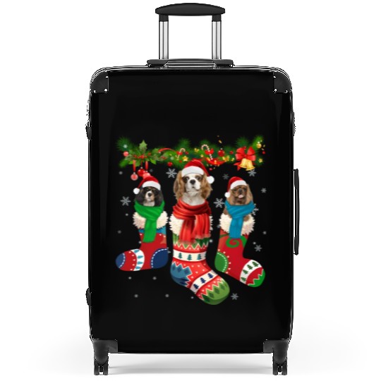 Three Cavalier King Charles Spaniel In Sock Suitcases
