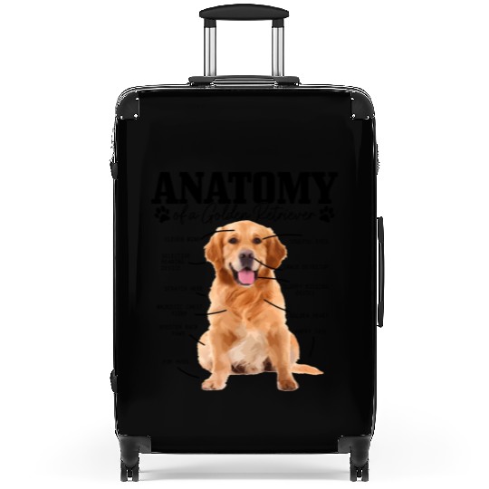 Anatomy Of A Golden Retriever Dog Mom Dad Suitcases