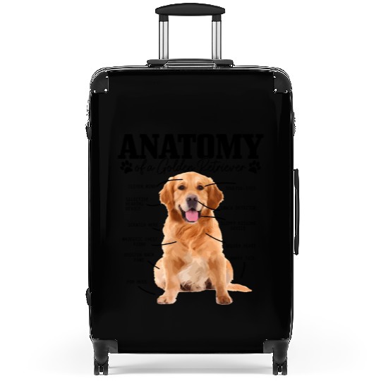 Anatomy Of A Golden Retriever Dog Mom Dad Suitcases