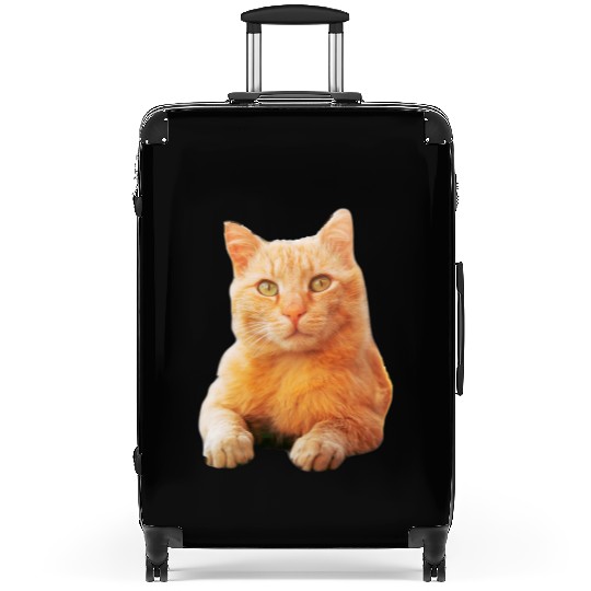 Orange Cat Suitcases