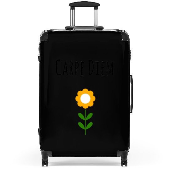 Carpe Diem Inspirational Suitcases