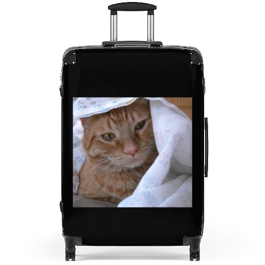Cozy Orange Tabby Feline Under Blanket Suitcases