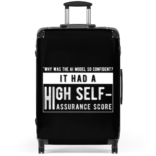 Why was the AI model so confident Suitcases