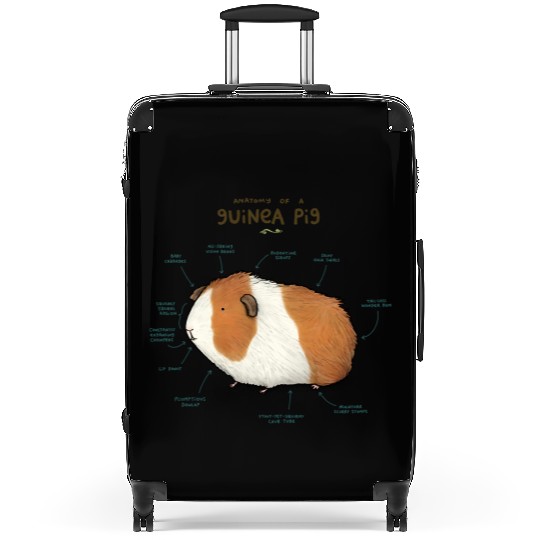 Anatomy of a Guinea Pig Suitcases