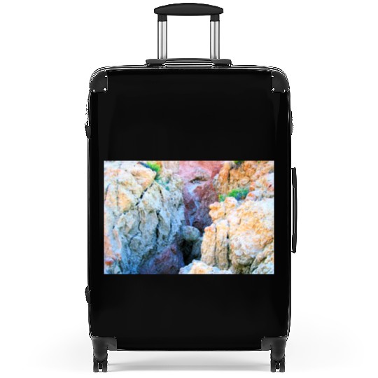 NatureScapes -In the Badlands of South Dakota #101 Suitcases