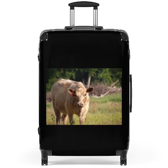 Cow Suitcases