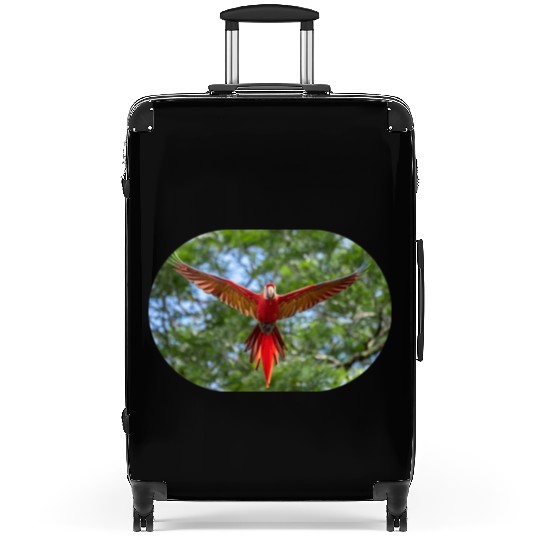 bird physiology 1 Suitcases