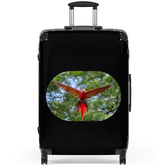 bird physiology 1 Suitcases