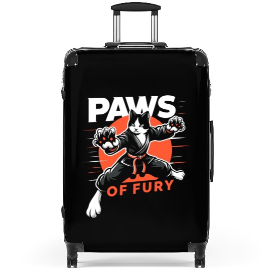 Kung Fu Chinese Kung Fu Asian Kung Fu Self defense Suitcases