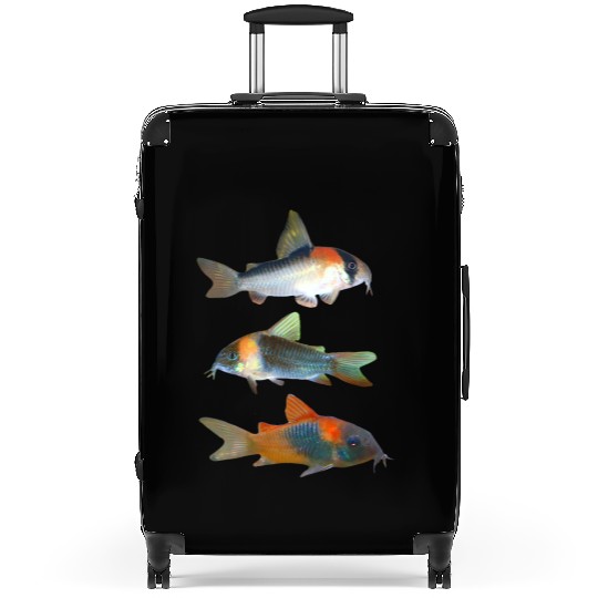 Adolfoi Corydoras Catfish Aquarium Fish Lovers Suitcases