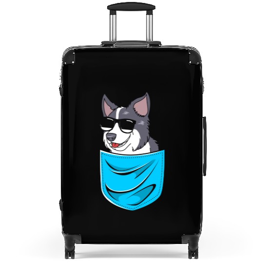 Funny Dog Border Collie Wearing Sunglasses Suitcases
