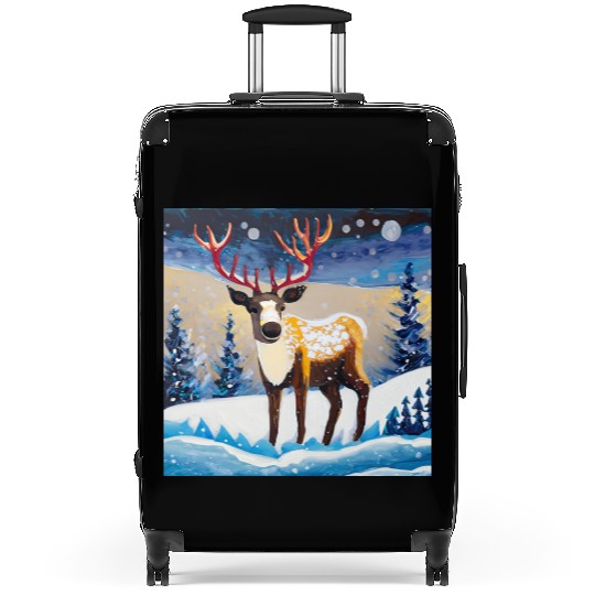 A raider and the night Suitcases