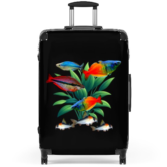 Rainbowfish Corydoras catfish Aquarium Fish Tank Suitcases