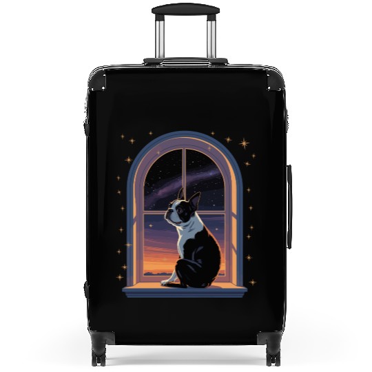 Boston Terrier Star Gazing At Window Suitcases