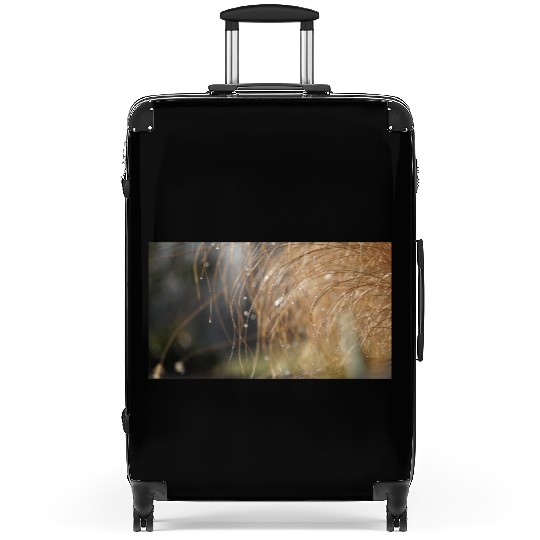 Tiny Dew Drops on Delicate Golden Grass Suitcases