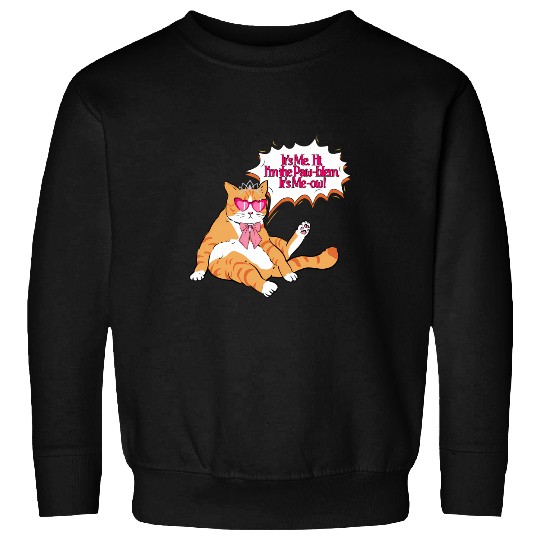 Anti-Hero Cat Taylorr Swift Sweatshirts