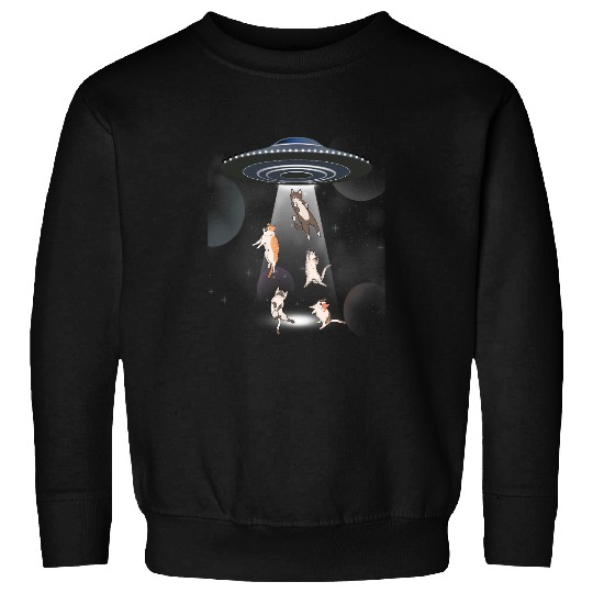 Cat Paws Alien Cat Galaxy Cat Cat UFO Sweatshirts