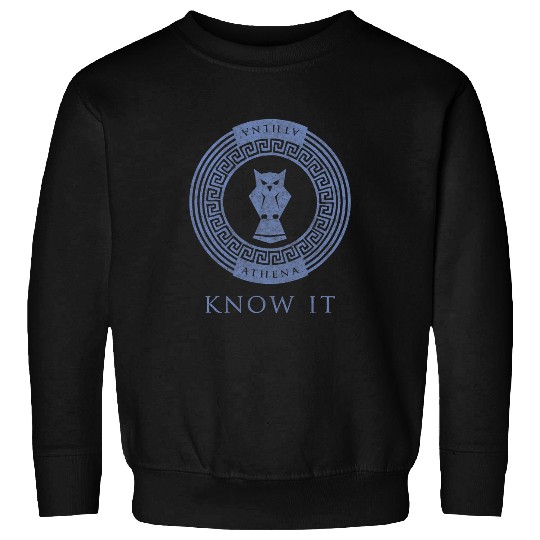 Cute Owl Greek Goddess T Athena Know It Owl God Wisdom Sweatshirts