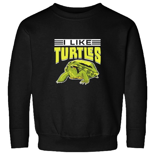 KV9 Turtle I Like Turtles Pet Animal Lover Turtle Sweatshirts
