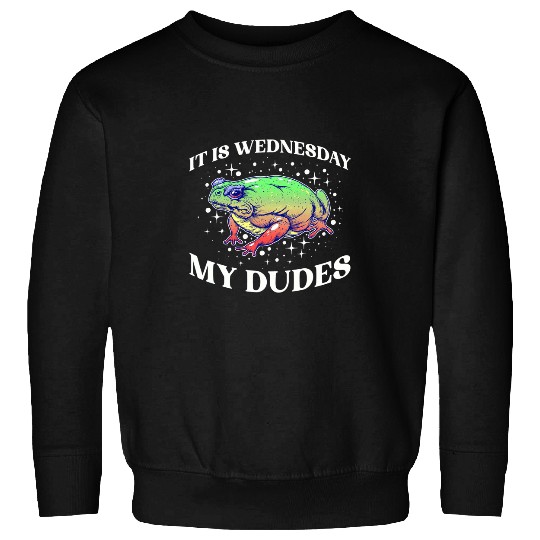 Frog Gift It is Wednesday my dudes Funny Meme Quote Frog Art Sweatshirts