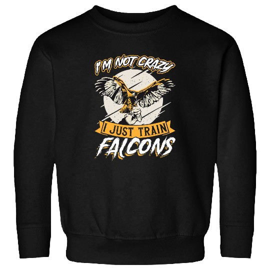 Im Not crazys I Just Train Falcons Falconry Sweatshirts